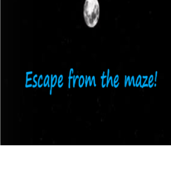 Escape from the maze!