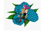 Blue Raspberry Group