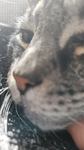 MeOwW<33mow