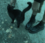 A picture of me in past