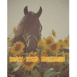 Sunny Steed Equestrian