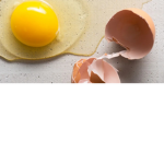 EGGLESS WORRIORS