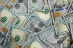 loyalty, trust, and money