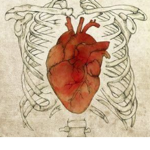 hearttoobig