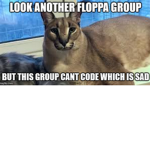 baiscally a floppa group or something idk