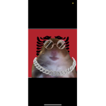 Lamaaaaaaaaaaaaa