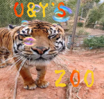 U&Y's Zoo