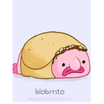 The only blobfish