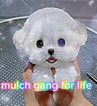 group_roblox_33869635