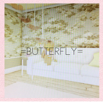 =butterfly=