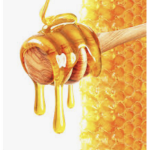 Honeybeeess!!