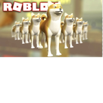 The group of doges that are cool