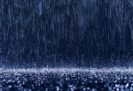 |~| THE RAINN! |~|