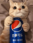 §§§