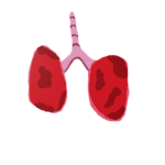 Lung Republic