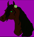 *~Livs Lovely Horse Academy~*