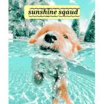 sunshine squad! xx