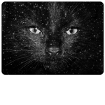 the space cats