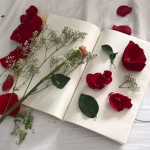 crimson ivy