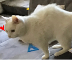 LULUUU