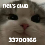 nel's club