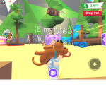 The kind berry group