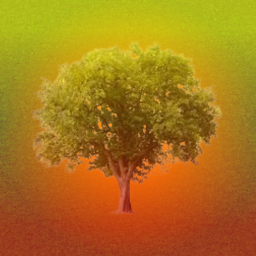 Deforestation Simulator