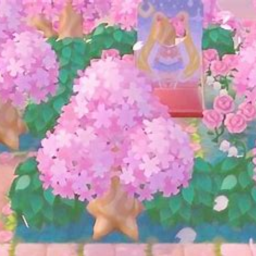 Animal Crossing Appeal