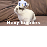 Navy group official