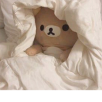 Aesthetic bear Cubs - it’s.not.ClaraBear