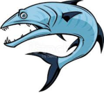 _BARRACUDAS_