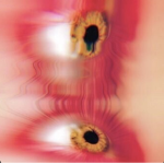 Anexbie
