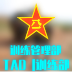 TAD | 训练部