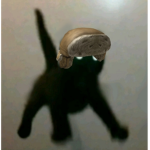 Russian Hat