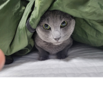 라자단