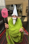 THE KNOMES