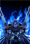 shadow order