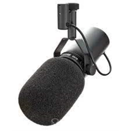 VOICE CHAT