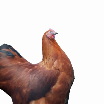 Assassin Roosters