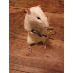Rat army rat Queen