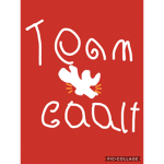 Team coolt