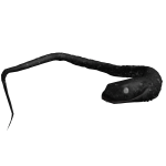 Void Snake