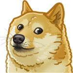 The Assasin Doge Group!
