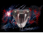 The Snakes112