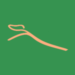 Western Greyhound LTD
