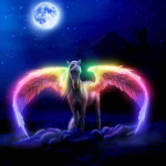 a magic life