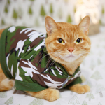 THE PRO CAT ARMY GROUP