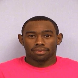 [EVEN MORE STAGES] Tyler the Creator Obby Parkour! icon