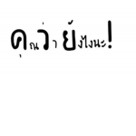 แมวดำ