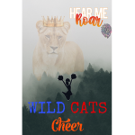 wild cats cheer squad !